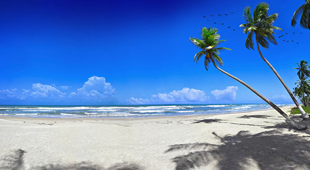 Cruises From Caribbean Islands