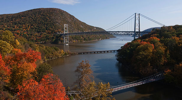 Cruises From USA & Canada